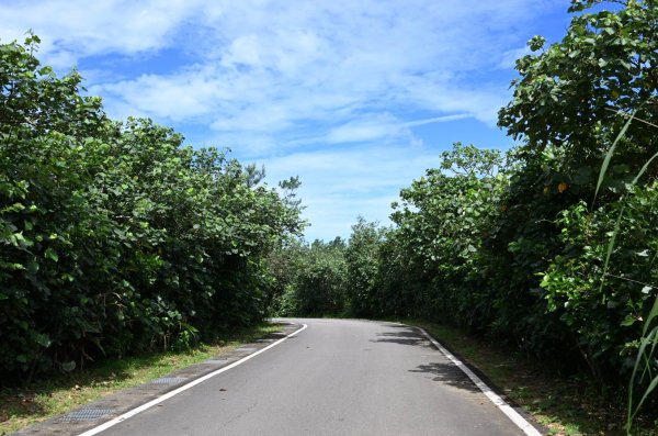 [跟著2025雙北世壯運探索雙北市-4/21] 2025_0614 飛沙扣殺徑（龍門吊橋、鹽寮濱海步2813014