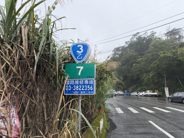 [樟之細路_第一大段RSA01] 2026_0329 清水坑溪景觀3026589