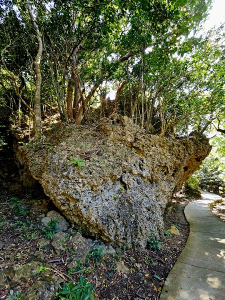 墾丁國家森林遊樂區步道群-(屏東)臺灣百大必訪步道2731245