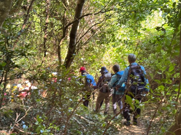 恆春大縱走:鎮南宮-赤牛嶺-大山母山(小百岳#81)-南灣出2963744