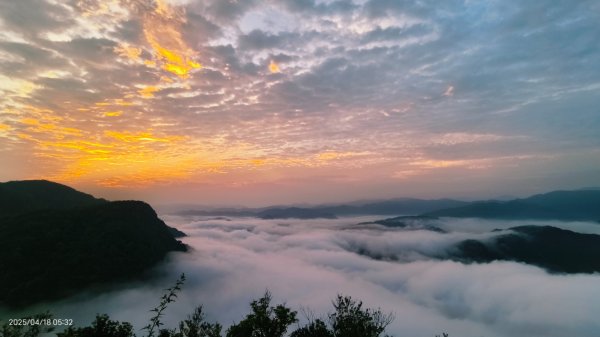 #翡翠水庫壩頂 #日出雲海 #火燒雲 #藍腹鷴 #夜路走多了總會遇到鬼？！#松月櫻 4/182764588