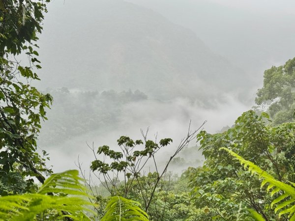 雨下的白毛山步道與白鹿吊橋2805291