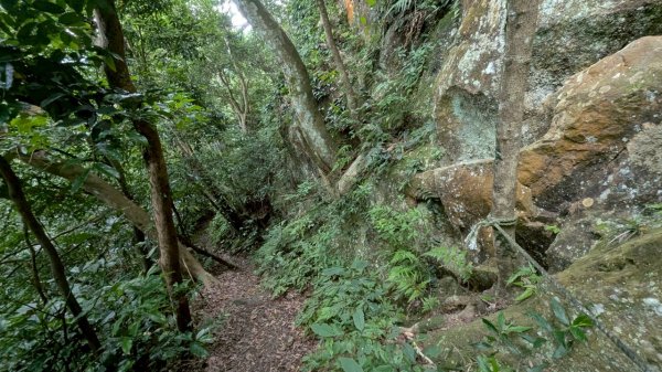 114.06.14雙石縱走&石門水庫-石牛山之旅2812291