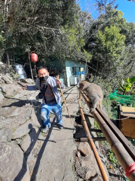 小百岳:李凍山1619201