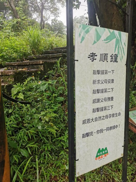 雨中漫步北部山岳-二格山、土庫岳、象山道1136705