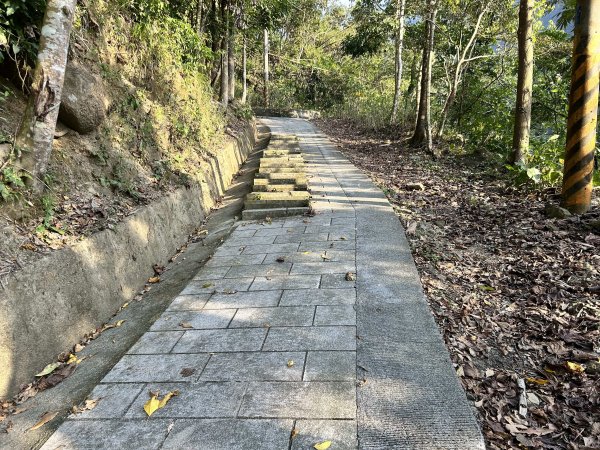 萬年峽谷步道2969829