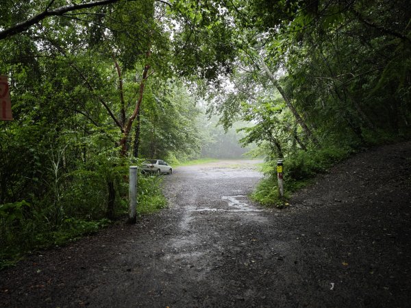 2025_0525 鎮西堡巨木群步道（B區）2797692