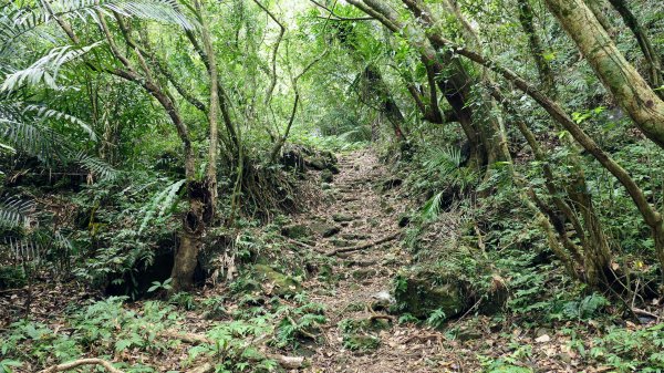 玉田古道,大湖越嶺保甲路2582314