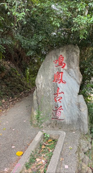 鳴鳳山古道群走鳴鳳山 三湖山吃仙草冰2923291