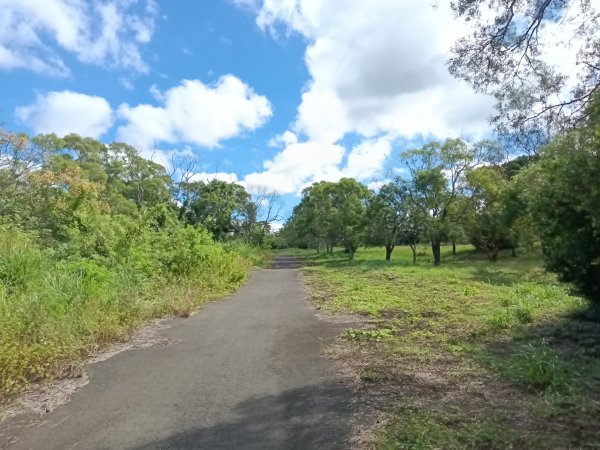 頭份鎮鹿廚坑步道+鹿廚坑山2937995