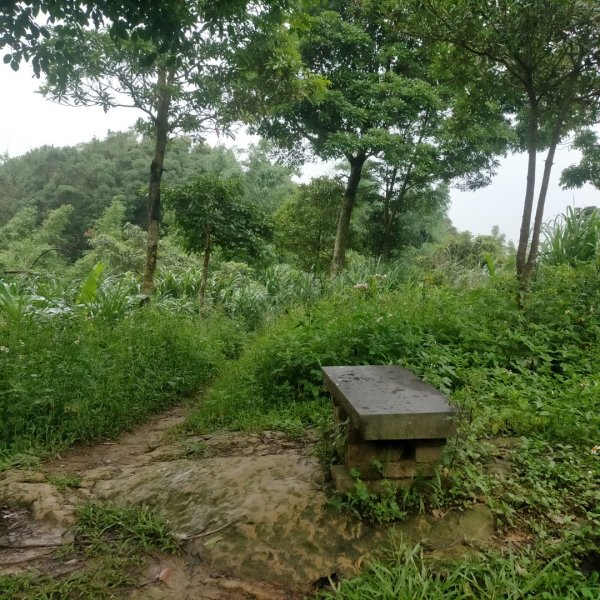 臺北大縱走第六段：中華科技大學至捷運麟光站2810858