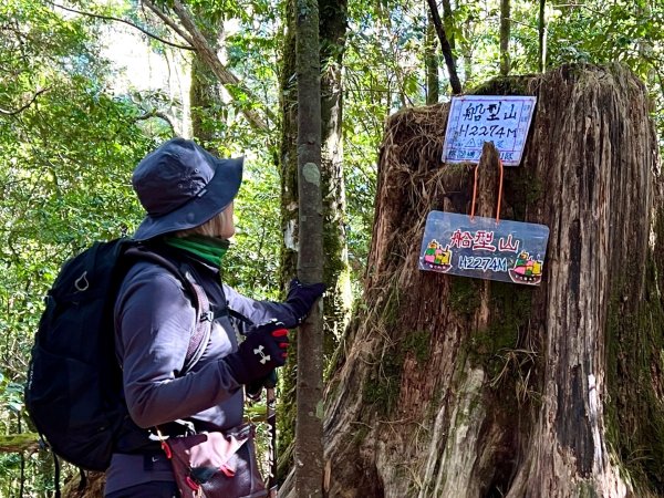 船型山環走大雪山210林道2978034