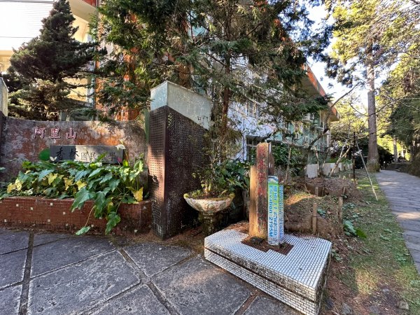 阿里山園區巨木群步道繞一圈2420737