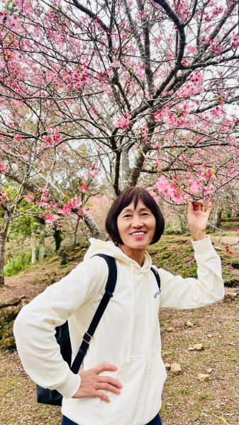 🌈228連假北橫賞櫻客製化四日遊Day1   FB：熊熊趴爬走🌈2724507