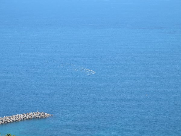 2025.09.13－情人湖步道&大武崙山2885836