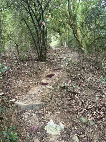 20251227尾寮山登山步道2970499