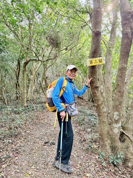 大漢林道登山趣(力里山.具馬奴山.崁頭窩山)  2026.3.283028035