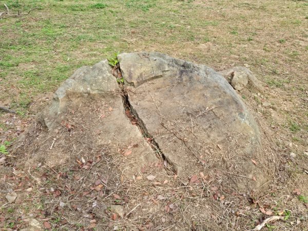 石硦林場（桶頭山）2991264