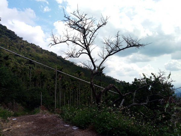 梅嶺竹子尖山 梅龍 稜線 伍龍步道 933489