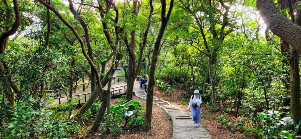 內湖金面山，論劍山，鶯歌蛋山，忠義山，長壽步道，桃園虎頭山公園1990181