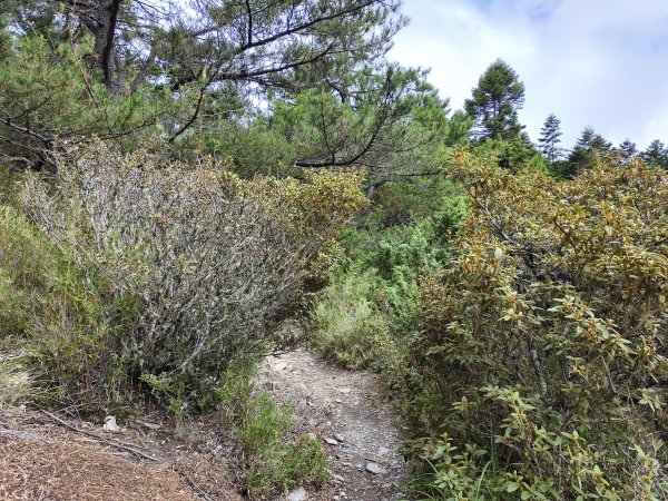 北一段(13/14)審馬陣山 2025_0906~132887548