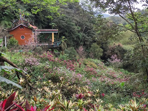 【臺北大縱走6】中華科大步道→九五峰→南港山→糶米古道→軍功山→中埔山→福州山公園→富陽自然生態公園2730082