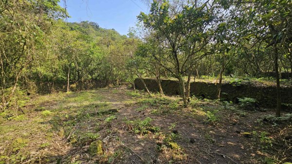 20260323后番仔坑山-內平林山-新路尾山-頂坑山-三貂嶺中心點3023690