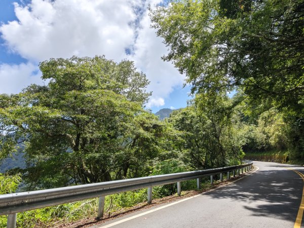 [山海圳_聖山之路_第一段] 2026_0802 自忠⮕鹿林山登山口3109096