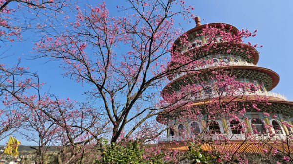 追花是簡單的快樂，賞花是恬淡的幸褔 2/112710557
