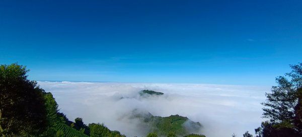 溪頭~金柑樹山/嶺頭山/忘憂森林O形走（沿路竟是耶穌光）1884179