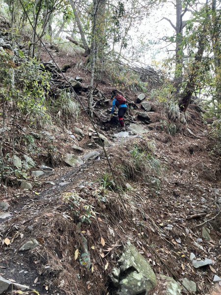 台中 和平 波津加山2761893