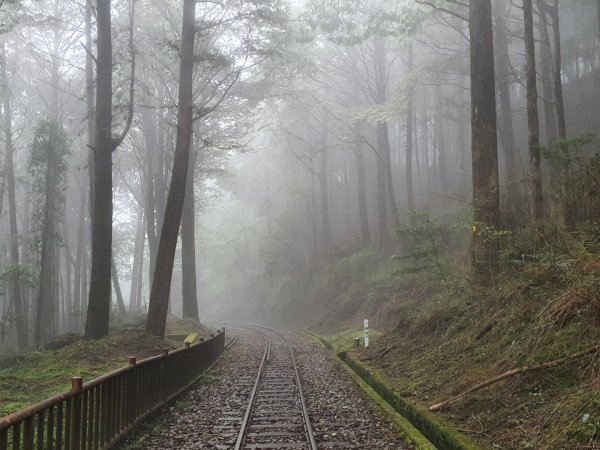 對高岳步道1053520