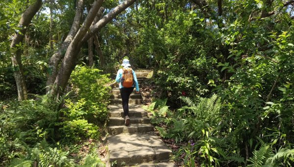 (姨婆趴趴走)第五十三集:台北內湖三山（白鷺鷥山、康樂山、明舉山）連走2774618