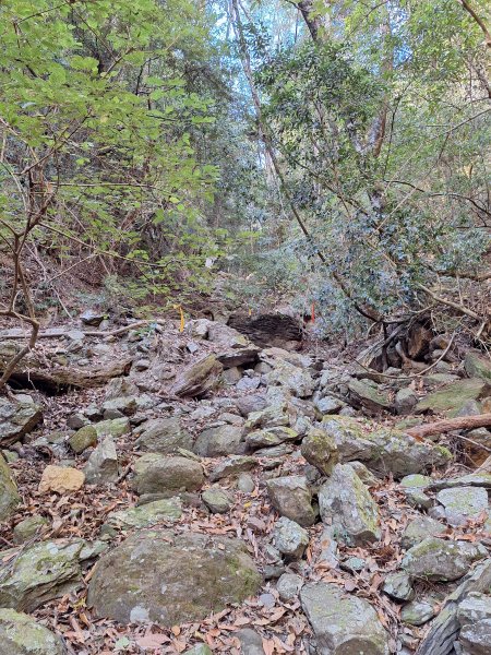 雪見駐在所+雪見山202512252971675