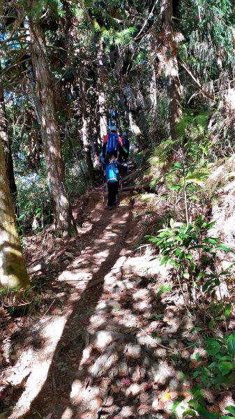 斯可巴步道+馬崙山785774