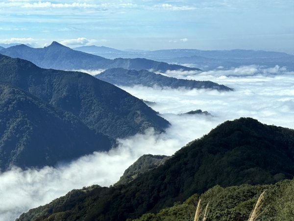 騰龍山-橫龍古道-橫龍山 202411232652979