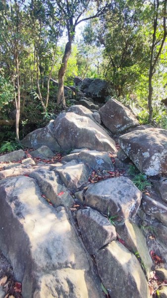 西湖捷運站-金面山-大崙頭山-圓覺-大湖公園捷運站2588701