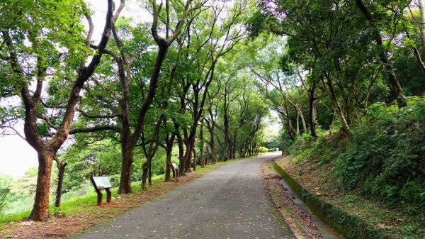 茶山步道,鎮南橋,鴉片菸潭,通學古道2602618