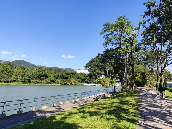 【臺北大縱走 5】碧山巖→忠勇山越嶺步道→金龍產業道路→圓明寺步道→鄭成功廟→潛園→格物台→劍潭古寺2958958