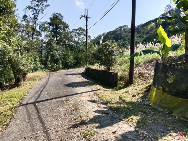 坪林區楣子寮尖+土地公遺址+火燒寮古道+枋山坑古道+枋山坑崙O型2985681