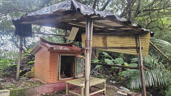 20251107大路崁登山步道-磺溪頭清水園區2930790