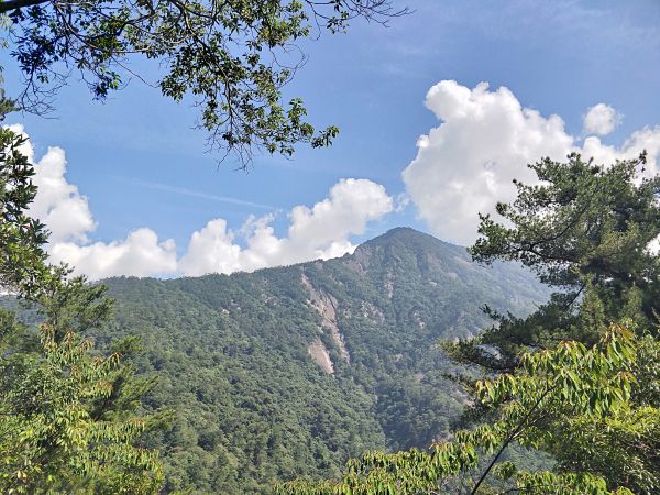 惠蓀林場杜鵑嶺步道398106