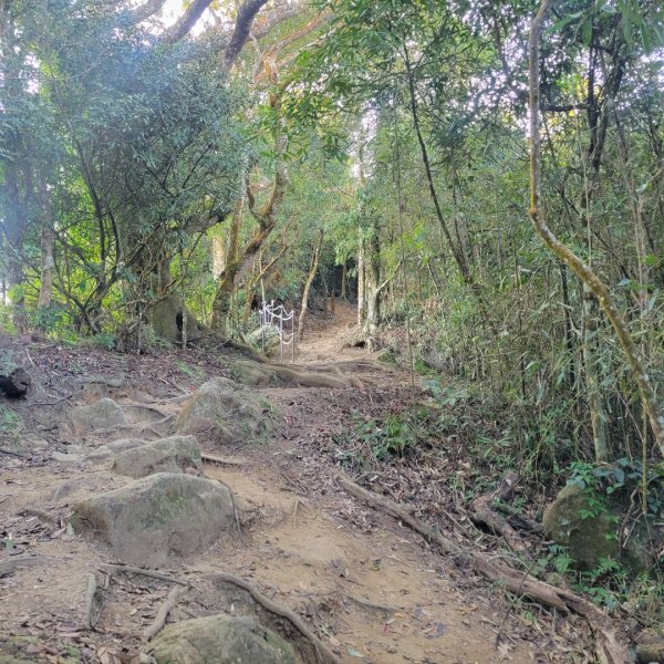 馬那邦山、細道邦山（小百岳）2435551