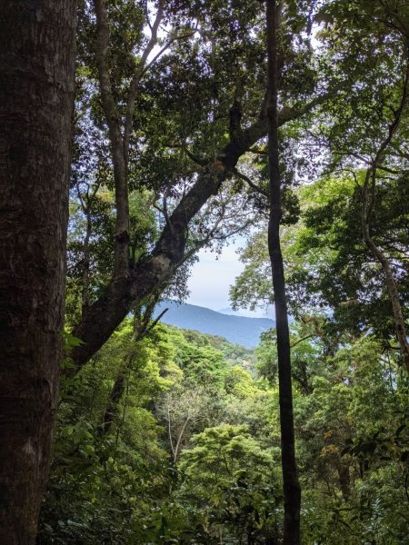 中級山-高島縱走2888422