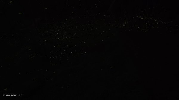 翡翠水庫壩頂 #火燒雲雲海 #日出雲海 #鱷魚島 #藍腹鷴 4/292773444