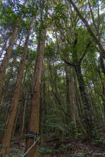 谷關七雄_屋我尾山2977003