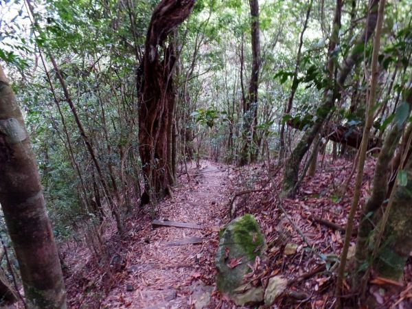 谷關七雄~屋我尾山293608