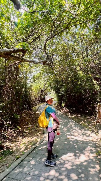 🌈8/24（日）來去坐火車爬山~ 新竹十八尖山+動物園+崎頂子母隧道✨FB：熊熊趴爬走🌈2868881