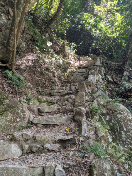 唐麻丹山一日遊3022033