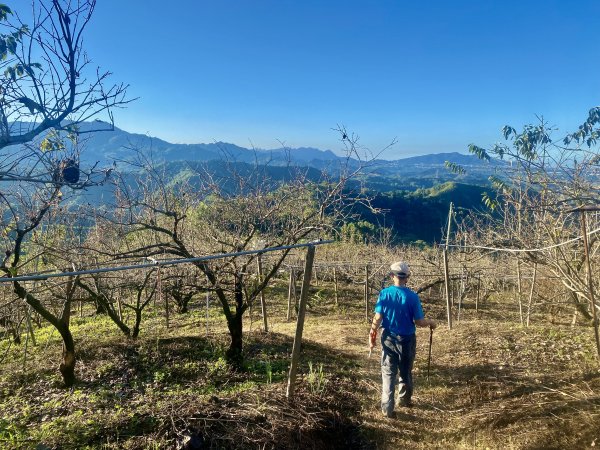 東勢卓蘭基石巡禮（大堀底.三叉坑山.穿龍.大湖桶山.內灣東.大坪頂山.大忿山.大茅坪山）1933599